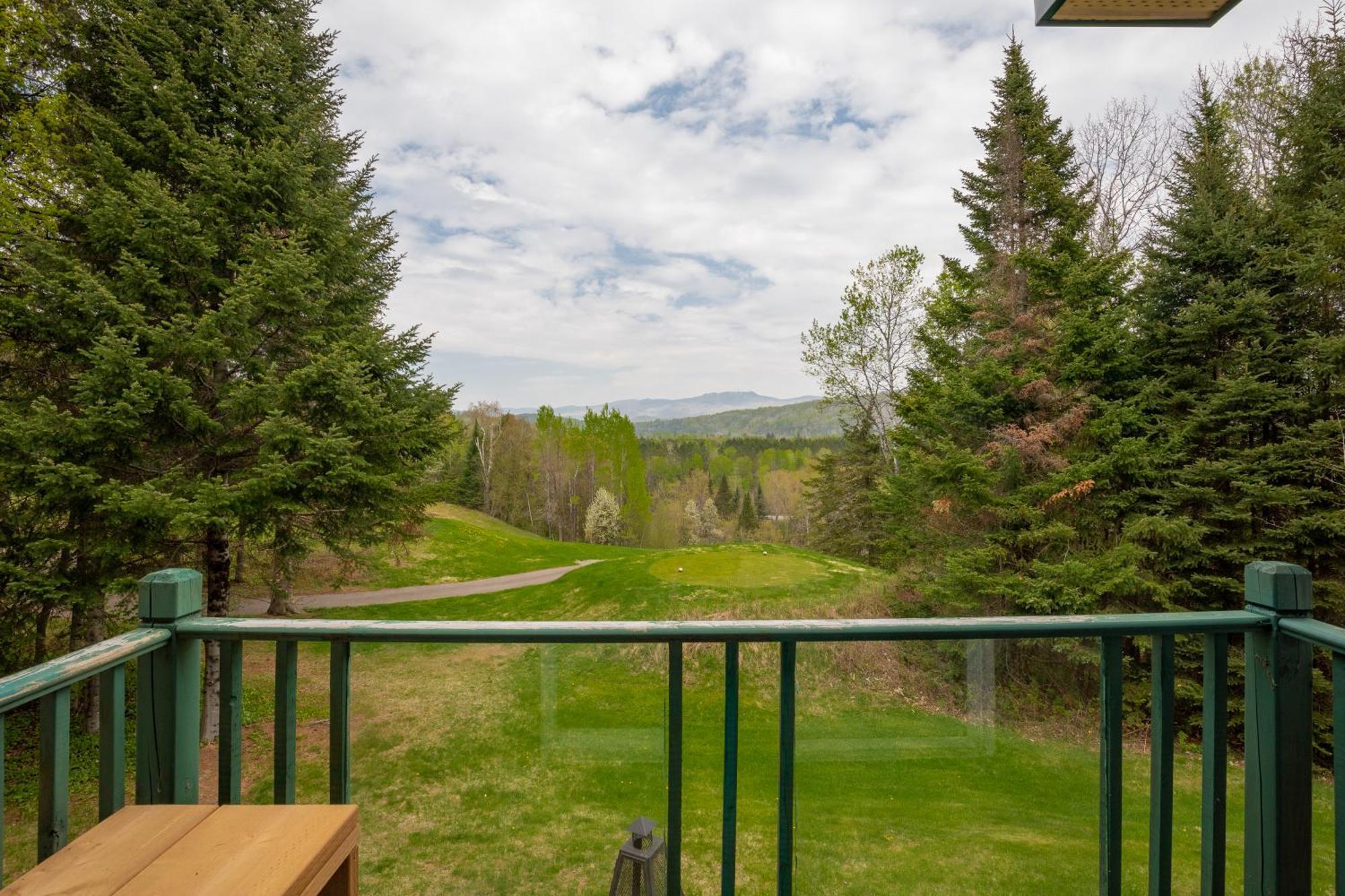 2-Level Home - Tremblant Mountain View - Fireplace Mont-Tremblant Exterior foto